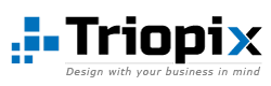 Triopix Infotech | Website Design & Development | Web Hosting | Graphic Design |